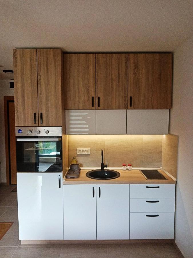 Studio Apartman Gorski Kristal Zlatibor Eksteriør bilde
